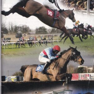 Folkestone Racecourse Tuesday December 18th 2012 Racecard