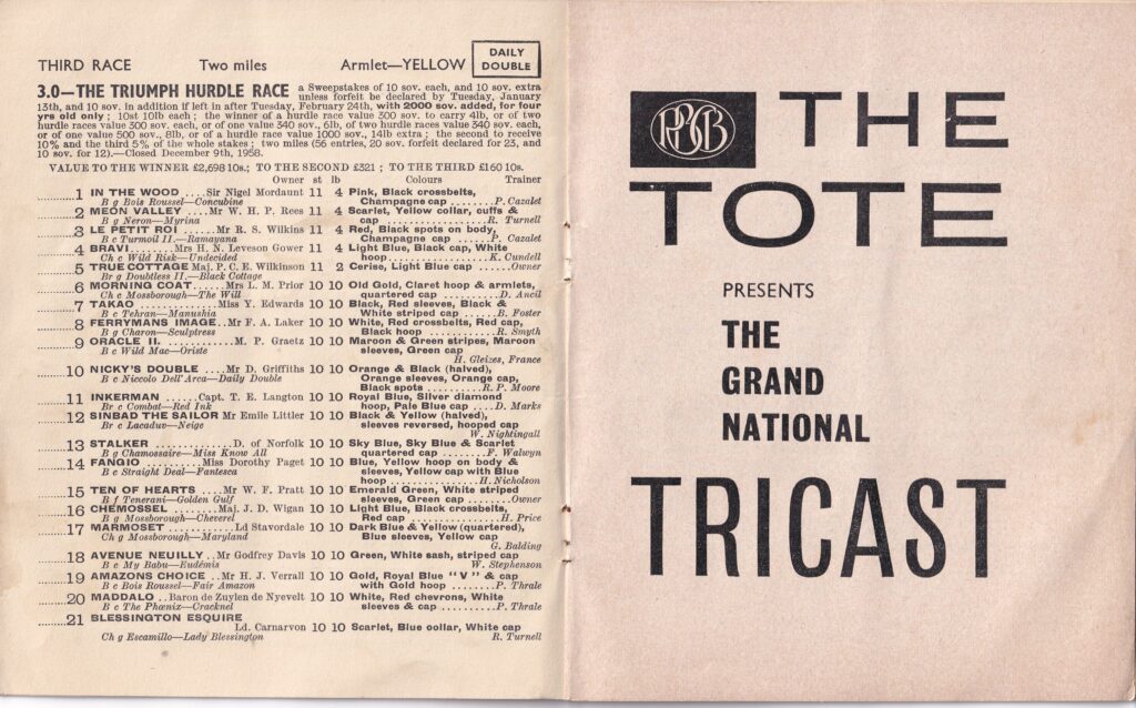 3.0 The Triumph Hurdle Race