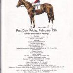 Newbury TOTE Meeting First Day Friday February 13th 1998 Racecard