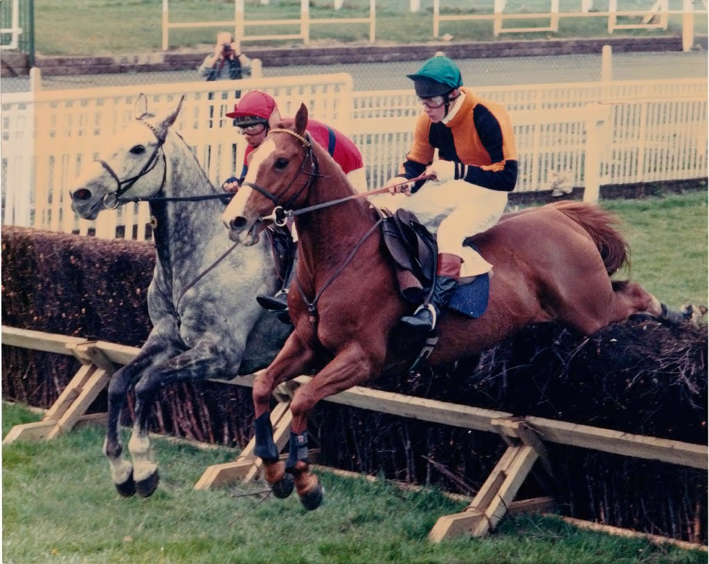 7/5 Aintree Gold Ace 1st/13