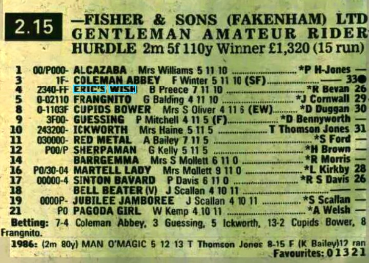 Fisher & Sons Fakenham Ltd Hurdle Gentleman Amateur Riders